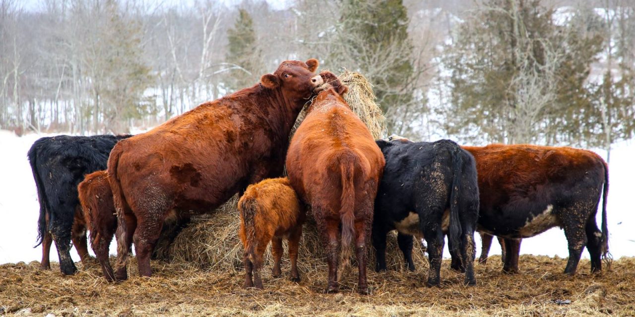 New York countryside.