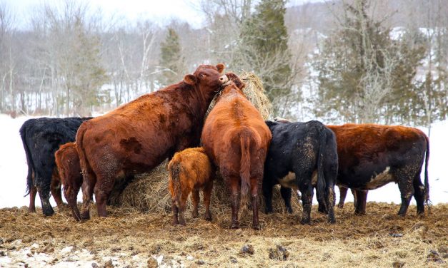 New York countryside.